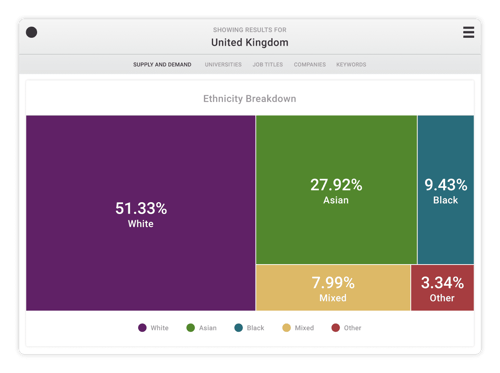 UK-Supply&Demand-Ethnicity