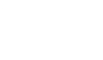 webhelp-logo